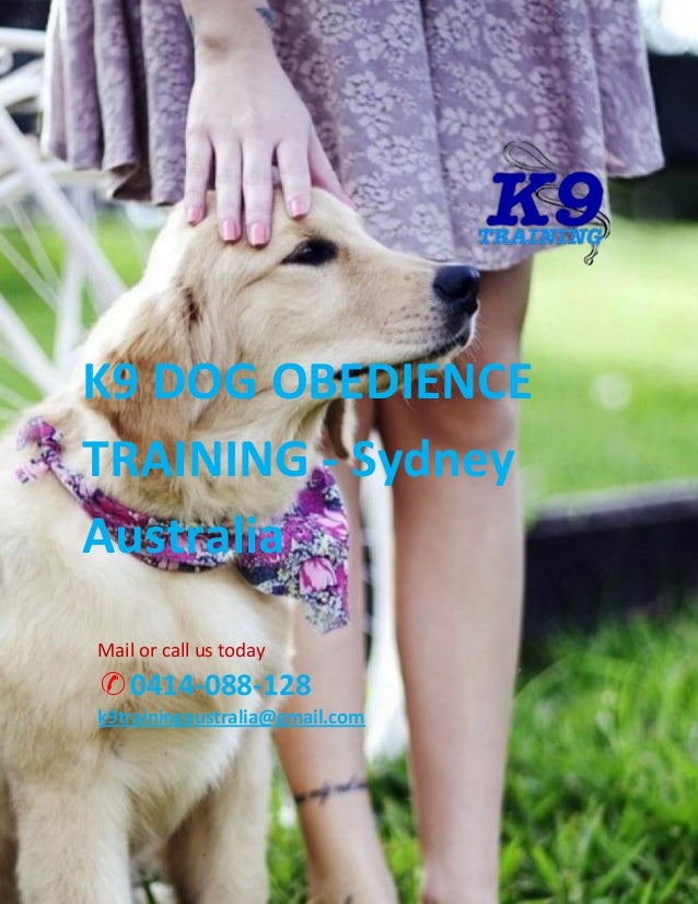 k9 dog obedience