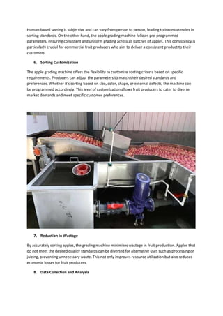 Best Apple Grading Machine Enhancing Fruit Sorting Quality and Efficiency.docx