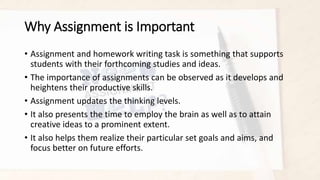 Best Assignment Assistance