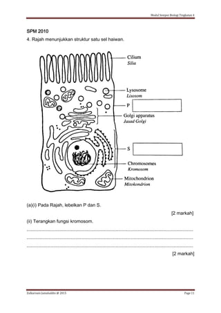 Modul Sempoi Biologi Tingkatan 4
Zulkarnain Jamaluddin @ 2015 Page 11
SPM 2010
4. Rajah menunjukkan struktur satu sel haiwan.
(a)(i) Pada Rajah, lebelkan P dan S.
[2 markah]
(ii) Terangkan fungsi kromosom.
.................................................................................................................................
.................................................................................................................................
.................................................................................................................................
[2 markah]
 