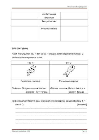 Modul Sempoi Biologi Tingkatan 4
Zulkarnain Jamaluddin @ 2015 Page 116
Jumlah tenaga
dihasilkan
Tempat berlaku
Persamaan kimia
SPM 2007 (Esei)
Rajah menunjukkan tisu P dan sel Q. P terdapat dalam organisma multisel. Q
terdapat dalam organisma unisel.
Tisu P Sel Q
Persamaan respirasi
Glukosa + Oksigen Karbon
dioksida + Air+ Tenaga
Persamaan respirasi
Glukosa Karbon dioksida +
Etanol + Tenaga
(a) Berdasarkan Rajah di atas, terangkan proses respirasi sel yang berlaku di P
dan di Q. [4 markah]
...........................................................................................................................
...........................................................................................................................
...........................................................................................................................
...........................................................................................................................
...........................................................................................................................
 