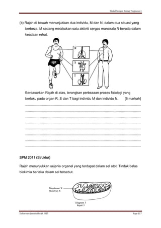 Modul Sempoi Biologi Tingkatan 4
Zulkarnain Jamaluddin @ 2015 Page 117
(b) Rajah di bawah menunjukkan dua individu, M dan N, dalam dua situasi yang
berbeza. M sedang melakukan satu aktiviti cergas manakala N berada dalam
keadaan rehat.
Berdasarkan Rajah di atas, terangkan perbezaan proses fisiologi yang
berlaku pada organ R, S dan T bagi individu M dan individu N. [6 markah]
...........................................................................................................................
...........................................................................................................................
...........................................................................................................................
...........................................................................................................................
...........................................................................................................................
...........................................................................................................................
...........................................................................................................................
...........................................................................................................................
SPM 2011 (Struktur)
Rajah menunjukkan sejenis organel yang terdapat dalam sel otot. Tindak balas
biokimia berlaku dalam sel tersebut.
 
