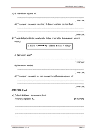 Modul Sempoi Biologi Tingkatan 4
Zulkarnain Jamaluddin @ 2015 Page 118
(a) (i) Namakan organel ini.
.......................................................................................................................
[1 markah]
(ii) Terangkan mengapa membran X dalam keadaan berlipat-lipat.
.......................................................................................................................
.......................................................................................................................
[2 markah]
(b) Tindak balas biokimia yang belaku dalam organel ini diringkaskan seperti
berikut:
(i) Namakan gas P.
.......................................................................................................................
[1 markah]
(ii) Namakan hasil Q
.......................................................................................................................
[1 markah]
(iii)Terangkan mengapa sel otot mengandungi banyak organel ini.
.......................................................................................................................
.......................................................................................................................
[2 markah]
SPM 2012 (Esei)
(a) Gula dioksidakan semasa respirasi.
Terangkan proses itu. [4 markah]
...........................................................................................................................
...........................................................................................................................
...........................................................................................................................
...........................................................................................................................
...........................................................................................................................
 