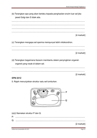 Modul Sempoi Biologi Tingkatan 4
Zulkarnain Jamaluddin @ 2015 Page 12
(b) Terangkan apa yang akan berlaku kepada penghasilan enzim luar sel jika
jasad Golgi dan S tidak ada.
.................................................................................................................................
.................................................................................................................................
.................................................................................................................................
.................................................................................................................................
[4 markah]
(c) Terangkan mengapa sel sperma mempunyai lebih mitokondrion.
.................................................................................................................................
.................................................................................................................................
[2 markah]
(d) Terangkan bagaimana lisosom membantu dalam penyingkiran organel-
organel yang rosak di dalam sel.
.................................................................................................................................
.................................................................................................................................
[2 markah]
SPM 2012
5. Rajah menunjukkan struktur satu sel tumbuhan.
(a)(i) Namakan struktur P dan Q.
P: ...........................................................................................................................
Q: ...........................................................................................................................
[2 markah]
 