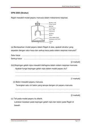 Modul Sempoi Biologi Tingkatan 4
Zulkarnain Jamaluddin @ 2015 Page 127
SPM 2005 (Struktur)
Rajah mewakili model peparu manusia dalam mekanisme respirasi.
(a) Berdasarkan model peparu dalam Rajah di atas, apakah struktur yang
sepadan dengan salur kaca dan serkup kaca pada sistem respirasi manusia?
Salur kaca: .............................................................................................................
Serkup kaca: .........................................................................................................
[2 markah]
(b)(i)Kepingan getah nipis mewakili diafragma dalam sistem respirasi manusia.
Apakah fungsi kepingan getah nipis dalam model peparu itu?
.........................................................................................................................
.........................................................................................................................
[1 markah]
(ii) Belon mewakili peparu manusia.
Terangkan satu ciri belon yang serupa dengan ciri peparu manusia.
.........................................................................................................................
.........................................................................................................................
[2 markah]
(c) Tali pada model peparu itu ditarik.
Lukiskan keadaan pada kepingan getah nipis dan belon pada Rajah di
bawah.
 