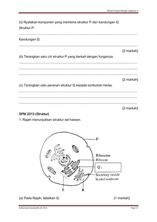 Modul Sempoi Biologi Tingkatan 4
Zulkarnain Jamaluddin @ 2015 Page 13
(ii) Nyatakan komponen yang membina struktur P dan kandungan Q.
Struktur P:
.................................................................................................................................
Kandungan Q:
.................................................................................................................................
[2 markah]
(b) Terangkan satu ciri struktur P yang berkait dengan fungsinya.
.................................................................................................................................
.................................................................................................................................
.................................................................................................................................
[2 markah]
(c) Terangkan satu peranan struktur Q kepada tumbuhan herba.
.................................................................................................................................
.................................................................................................................................
.................................................................................................................................
[2 markah]
SPM 2013 (Struktur)
1. Rajah menunjukkan struktur sel haiwan.
(a) Pada Rajah, labelkan Q. [1 markah]
 