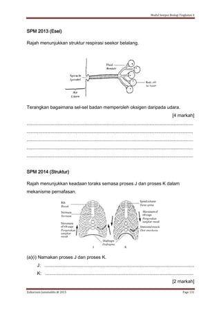 Modul Sempoi Biologi Tingkatan 4
Zulkarnain Jamaluddin @ 2015 Page 131
SPM 2013 (Esei)
Rajah menunjukkan struktur respirasi seekor belalang.
Terangkan bagaimana sel-sel badan memperoleh oksigen daripada udara.
[4 markah]
.................................................................................................................................
.................................................................................................................................
.................................................................................................................................
.................................................................................................................................
.................................................................................................................................
SPM 2014 (Struktur)
Rajah menunjukkan keadaan toraks semasa proses J dan proses K dalam
mekanisme pernafasan.
(a)(i) Namakan proses J dan proses K.
J: ....................................................................................................................
K: ...................................................................................................................
[2 markah]
 
