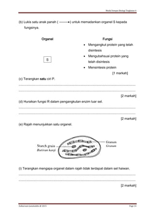 Modul Sempoi Biologi Tingkatan 4
Zulkarnain Jamaluddin @ 2015 Page 14
(b) Lukis satu anak panah ( ) untuk memadankan organel S kepada
fungsinya.
Organel Fungsi
 Mengangkut protein yang telah
disintesis
S
 Mengubahsuai protein yang
telah disintesis
 Mensintesis protein
[1 markah]
(c) Terangkan satu ciri P.
.................................................................................................................................
.................................................................................................................................
[2 markah]
(d) Huraikan fungsi R dalam pengangkutan enzim luar sel.
.................................................................................................................................
.................................................................................................................................
[2 markah]
(e) Rajah menunjukkan satu organel.
(i) Terangkan mengapa organel dalam rajah tidak terdapat dalam sel haiwan.
.................................................................................................................................
.................................................................................................................................
[2 markah]
 