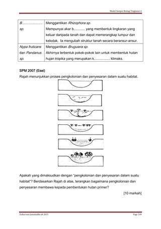 Modul Sempoi Biologi Tingkatan 4
Zulkarnain Jamaluddin @ 2015 Page 149
B......................
sp.
Menggantikan Rhizophora sp.
Mempunyai akar b............ yang membentuk lingkaran yang
keluar daripada tanah dan dapat memerangkap lumpur dan
kelodak. Ia mengubah struktur tanah secara beransur-ansur.
Nypa fruticans
dan Pandanus
sp.
Menggantikan Bruguiera sp.
Akhirnya terbentuk pokok-pokok lain untuk membentuk hutan
hujan tropika yang merupakan k................. klimaks.
SPM 2007 (Esei)
Rajah menunjukkan proses pengkolonian dan penyesaran dalam suatu habitat.
Apakah yang dimaksudkan dengan “pengkolonian dan penyesaran dalam suatu
habitat”? Berdasarkan Rajah di atas, terangkan bagaimana pengkolonian dan
penyesaran membawa kepada pembentukan hutan primer?
[10 markah]
 