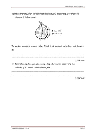 Modul Sempoi Biologi Tingkatan 4
Zulkarnain Jamaluddin @ 2015 Page 15
(ii) Rajah menunjukkan keratan memanjang suatu bebawang. Bebawang itu
ditanam di dalam tanah.
Terangkan mengapa organel dalam Rajah tidak terdapat pada daun sisik bawang
itu.
.................................................................................................................................
.................................................................................................................................
[2 markah]
(iii) Terangkan apakah yang berlaku pada pertumbuhan bebawang jika
bebawang itu diletak dalam almari gelap.
.................................................................................................................................
.................................................................................................................................
[2 markah]
 