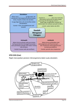 Modul Sempoi Biologi Tingkatan 4
Zulkarnain Jamaluddin @ 2015 Page 163
SPM 2009 (Esei)
Rajah menunjukkan peranan mikroorganisma dalam suatu ekosistem.
Disinfektan
-Bahan peny.................... yg digunakan utk
membunuh mikroorganisma pd permukaan
lantai, hospital, tandas dan perabot.
- Ia juga digunakan utk mensterilkan alatan
pembedahan.
-Contoh : fenol, formaldehid dan asid
karbolik
Vaksin
-Ampaian b................... atau virus mati atau
dilemahkan yg disuntik ke dalam badan
seseorang utk merangsang sistem k..............
badan bagi menghasilkan antibodi yg
dikehendaki utk melawan penyakit tertentu.
-Contoh: vaksin Sabine dan BCG
Antiseptik
-Bahan kimia yg disapu pada permukaan
kulit yg terluka utk mencegah kemasukan
serta pembiakan patogen dlm badan melalui
luka tersebut.
- Contoh: larutan iodin dan akriflavin
Antibiotik
-Bahan kimia yg dihasilkan oleh
mikroorganisma utk merencat pert..............
dan membunuh mikroorganisma lain
terutamanya bakteria.
-Contoh: penisilin dan streptomisin
Kaedah
Mengawal
Patogen
 