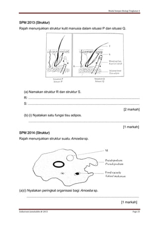 Modul Sempoi Biologi Tingkatan 4
Zulkarnain Jamaluddin @ 2015 Page 25
SPM 2013 (Struktur)
Rajah menunjukkan struktur kulit manusia dalam situasi P dan situasi Q.
(a) Namakan struktur R dan struktur S.
R: ........................................................................................................................
S: ........................................................................................................................
[2 markah]
(b) (i) Nyatakan satu fungsi tisu adipos.
.......................................................................................................................
[1 markah]
SPM 2014 (Struktur)
Rajah menunjukkan struktur suatu Amoeba sp.
(a)(i) Nyatakan peringkat organisasi bagi Amoeba sp.
.........................................................................................................................
[1 markah]
 