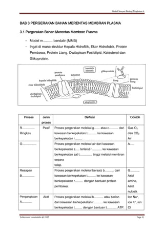 Modul Sempoi Biologi Tingkatan 4
Zulkarnain Jamaluddin @ 2015 Page 31
BAB 3 PERGERAKAN BAHAN MERENTAS MEMBRAN PLASMA
3.1 Pergerakan Bahan Merentas Membran Plasma
- Model m.......... bendalir (MMB)
- Ingat di mana struktur Kepala Hidrofilik, Ekor Hidrofobik, Protein
Pembawa, Protein Liang, Dwilapisan Fosfolipid, Kolesterol dan
Glikoprotein.
Proses Jenis
proses
Definisi Contoh
R...............
Ringkas
Pasif Proses pergerakan molekul g....... atau c........... dari
kawasan berkepekatan t........... ke kawasan
berkepekatan r.........
Gas O2
dan CO2
Air
O................. Proses pergerakan molekul air dari kawasan
berkepekatan z..... terlarut r............ ke kawasan
berkepekatan zat t............... tinggi melalui membran
separa
telap.
A.....
Resapan
B...............
Proses pergerakan molekul bersaiz b........... dari
kawasan berkepekatan t.......... ke kawasan
berkepekatan r.......... dengan bantuan protein
pembawa.
G..........,
Asid
amino,
Asid
nukleik
Pengangkutan
A............
Aktif Proses pergerakan molekul b........... atau berion
dari kawasan berkepekatan r........... ke kawasan
berkepekatan t......... dengan bantuan t............ ATP.
Ion Na+,
ion K+, ion
Cl-
 