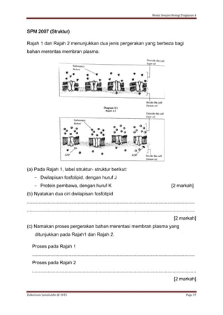 Modul Sempoi Biologi Tingkatan 4
Zulkarnain Jamaluddin @ 2015 Page 37
SPM 2007 (Struktur)
Rajah 1 dan Rajah 2 menunjukkan dua jenis pergerakan yang berbeza bagi
bahan merentas membran plasma.
(a) Pada Rajah 1, label struktur- struktur berikut:
- Dwilapisan fosfolipid, dengan huruf J
- Protein pembawa, dengan huruf K [2 markah]
(b) Nyatakan dua ciri dwilapisan fosfolipid
.................................................................................................................................
.................................................................................................................................
[2 markah]
(c) Namakan proses pergerakan bahan merentasi membran plasma yang
ditunjukkan pada Rajah1 dan Rajah 2.
Proses pada Rajah 1
.............................................................................................................................
Proses pada Rajah 2
..............................................................................................................................
[2 markah]
 