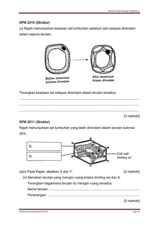 Modul Sempoi Biologi Tingkatan 4
Zulkarnain Jamaluddin @ 2015 Page 40
SPM 2010 (Struktur)
(c) Rajah menunjukkan keadaan sel tumbuhan sebelum dan selepas direndam
dalam sejenis larutan.
Terangkan keadaan sel selepas direndam dalam larutan tersebut.
.................................................................................................................................
.................................................................................................................................
.................................................................................................................................
[3 markah]
SPM 2011 (Struktur)
Rajah menunjukkan sel tumbuhan yang telah direndam dalam larutan sukrosa
30%.
(a)(i) Pada Rajah, labelkan X dan Y. [2 markah]
(ii) Namakan larutan yang mengisi ruang antara dinding sel dan X.
Terangkan bagaimana larutan itu mengisi ruang tersebut.
Nama larutan: .................................................................................................
Penerangan: ...................................................................................................
[2 markah]
 