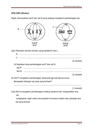 Modul Sempoi Biologi Tingkatan 4
Zulkarnain Jamaluddin @ 2015 Page 65
SPM 2005 (Struktur)
Rajah menunjukkan sel P dan sel Q yang sedang mengalami pembahagian sel.
(a)(i) Namakan struktur-struktur yang berlabel K dan L.
K: ..................................................................................................................
L: ..................................................................................................................
[2 markah]
(ii) Nyatakan fasa pembahagian sel P dan sel Q.
Sel P: ...........................................................................................................
Sel Q: ..........................................................................................................
[2 markah]
(b) Sel P mengalami pembahagian sebanyak tiga kali berturut-turut.
Berapakah bilangan sel anak yang terhasil?
............................................................................................................................
[1 markah]
(c)(i) Sel Q mengalami pembahagian nukleus pertama dan menghasilkan dua
sel.
Lengkapkan rajah untuk menunjukkan kromosom dalam satu daripada dua
sel yang terhasil.
 