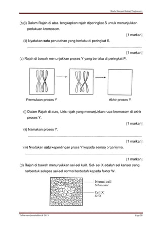 Modul Sempoi Biologi Tingkatan 4
Zulkarnain Jamaluddin @ 2015 Page 70
(b)(i) Dalam Rajah di atas, lengkapkan rajah diperingkat S untuk menunjukkan
perlakuan kromosom.
[1 markah]
(ii) Nyatakan satu perubahan yang berlaku di peringkat S.
.........................................................................................................................
[1 markah]
(c) Rajah di bawah menunjukkan proses Y yang berlaku di peringkat P.
Permulaan proses Y Akhir proses Y
(i) Dalam Rajah di atas, lukis rajah yang menunjukkan rupa kromosom di akhir
proses Y.
[1 markah]
(ii) Namakan proses Y.
........................................................................................................................
[1 markah]
(iii) Nyatakan satu kepentingan pross Y kepada semua organisma.
..........................................................................................................................
[1 markah]
(d) Rajah di bawah menunjukkan sel-sel kulit. Sel- sel X adalah sel kanser yang
terbentuk selepas sel-sel normal terdedah kepada faktor W.
 