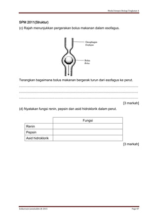 Modul Sempoi Biologi Tingkatan 4
Zulkarnain Jamaluddin @ 2015 Page 87
SPM 2011(Struktur)
(c) Rajah menunjukkan pergerakan bolus makanan dalam esofagus.
Terangkan bagaimana bolus makanan bergerak turun dari esofagus ke perut.
.................................................................................................................................
.................................................................................................................................
.................................................................................................................................
[3 markah]
(d) Nyatakan fungsi renin, pepsin dan asid hidroklorik dalam perut.
Fungsi
Renin
Pepsin
Asid hidroklorik
[3 markah]
 