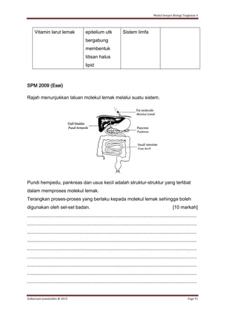 Modul Sempoi Biologi Tingkatan 4
Zulkarnain Jamaluddin @ 2015 Page 91
Vitamin larut lemak epitelium utk
bergabung
membentuk
titisan halus
lipid
Sistem limfa
SPM 2009 (Esei)
Rajah menunjukkan laluan molekul lemak melalui suatu sistem.
Pundi hempedu, pankreas dan usus kecil adalah struktur-struktur yang terlibat
dalam memproses molekul lemak.
Terangkan proses-proses yang berlaku kepada molekul lemak sehingga boleh
digunakan oleh sel-sel badan. [10 markah]
.................................................................................................................................
.................................................................................................................................
.................................................................................................................................
.................................................................................................................................
.................................................................................................................................
.................................................................................................................................
.................................................................................................................................
.................................................................................................................................
.................................................................................................................................
 