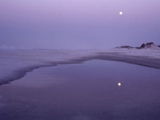 Best Beaches