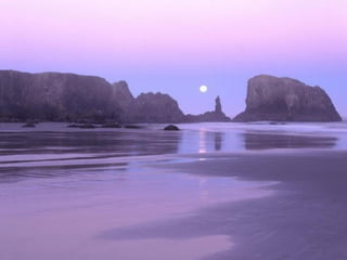 Best Beaches