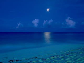 Best Beaches