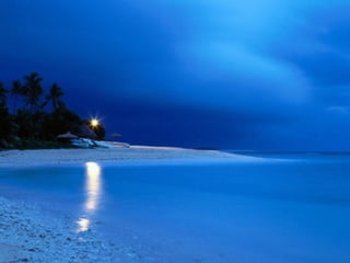 Best Beaches