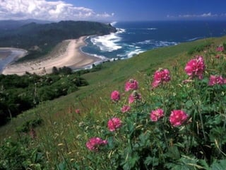Best Beaches