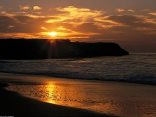 Best Beaches