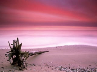 Best Beaches