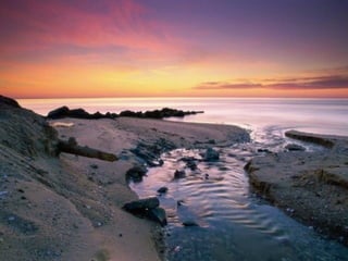Best Beaches
