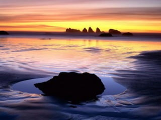 Best Beaches