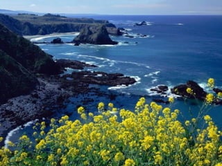 Best Beaches
