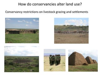 Wildlife conservancies and pastoral livelihoods in the Maasai Mara, Kenya