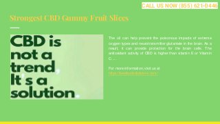 Strongest CBD Gummy Fruit Slices
The oil can help prevent the poisonous impacts of extreme
oxygen types and neurotransmitter glutamate in the brain. As a
result, it can provide protection for the brain cells. The
antioxidant activity of CBD is higher than vitamin E or Vitamin
C. ...
For more information, visit us at
https://bestbudscbdstore.com/
CALL US NOW (855) 621-0446
 