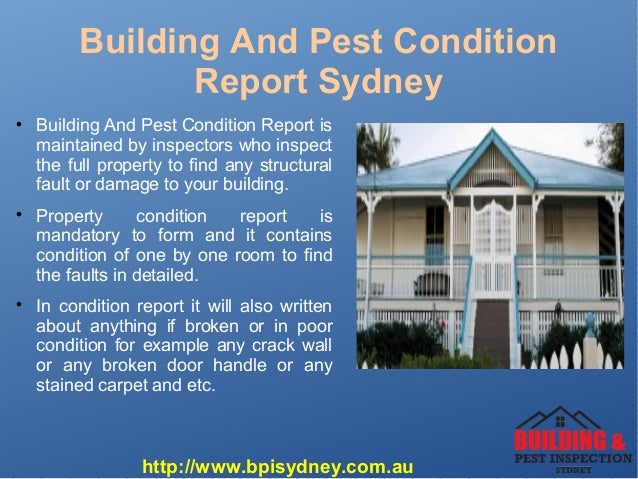 Best Building Inspections Sydney and Pest Inspections Sydney