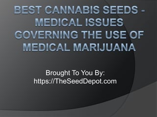 Best Cannabis Seeds - Medical Issues Governing the Use of Medical Marijuana Brought To You By: https://TheSeedDepot.com 