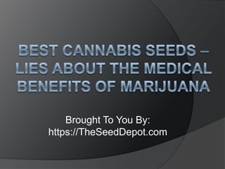 Best Cannabis Seeds – Lies about the Medical Benefits of Marijuana Brought To You By: https://TheSeedDepot.com 