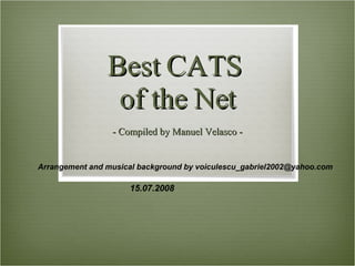 Best CATS  of the Net - Compiled by Manuel Velasco - Arrangement and musical background by voiculescu_gabriel2002@yahoo.com 15.07.2008 