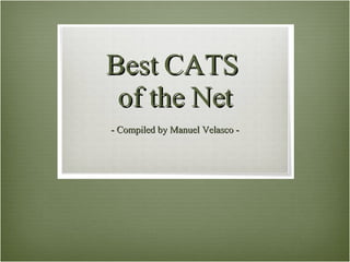 Best CATS  of the Net - Compiled by Manuel Velasco - 