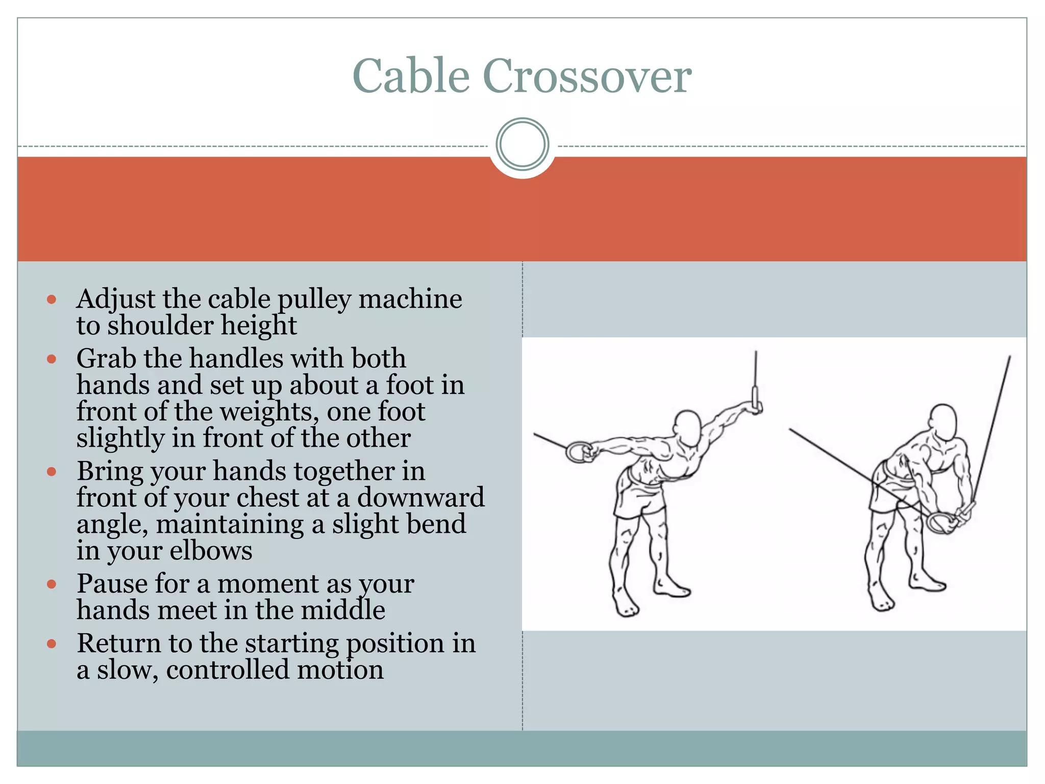  Adjust the cable pulley machine
to shoulder height
 Grab the handles with both
hands and set up about a foot in
front of the weights, one foot
slightly in front of the other
 Bring your hands together in
front of your chest at a downward
angle, maintaining a slight bend
in your elbows
 Pause for a moment as your
hands meet in the middle
 Return to the starting position in
a slow, controlled motion
Cable Crossover
 