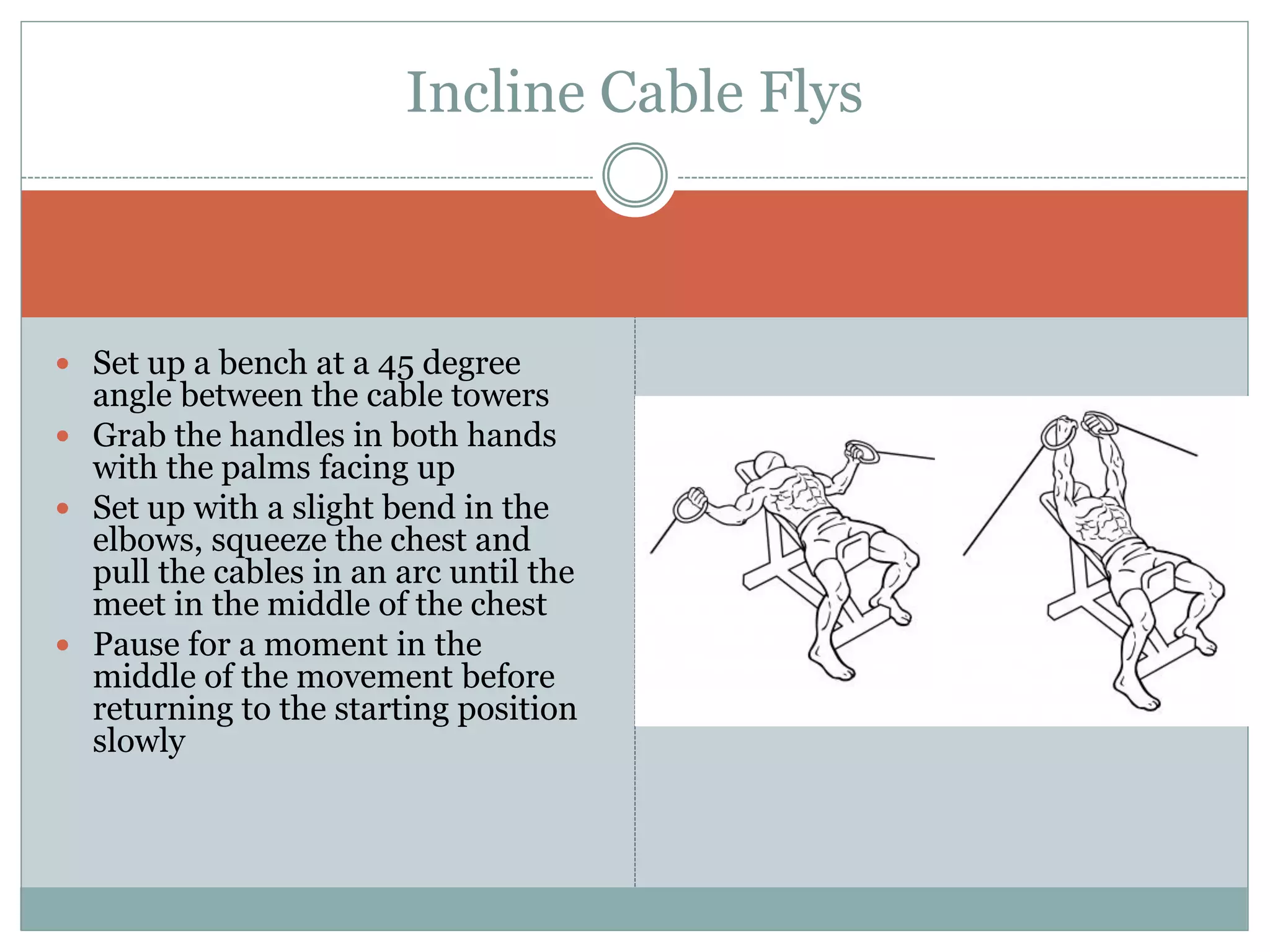  Set up a bench at a 45 degree
angle between the cable towers
 Grab the handles in both hands
with the palms facing up
 Set up with a slight bend in the
elbows, squeeze the chest and
pull the cables in an arc until the
meet in the middle of the chest
 Pause for a moment in the
middle of the movement before
returning to the starting position
slowly
Incline Cable Flys
 
