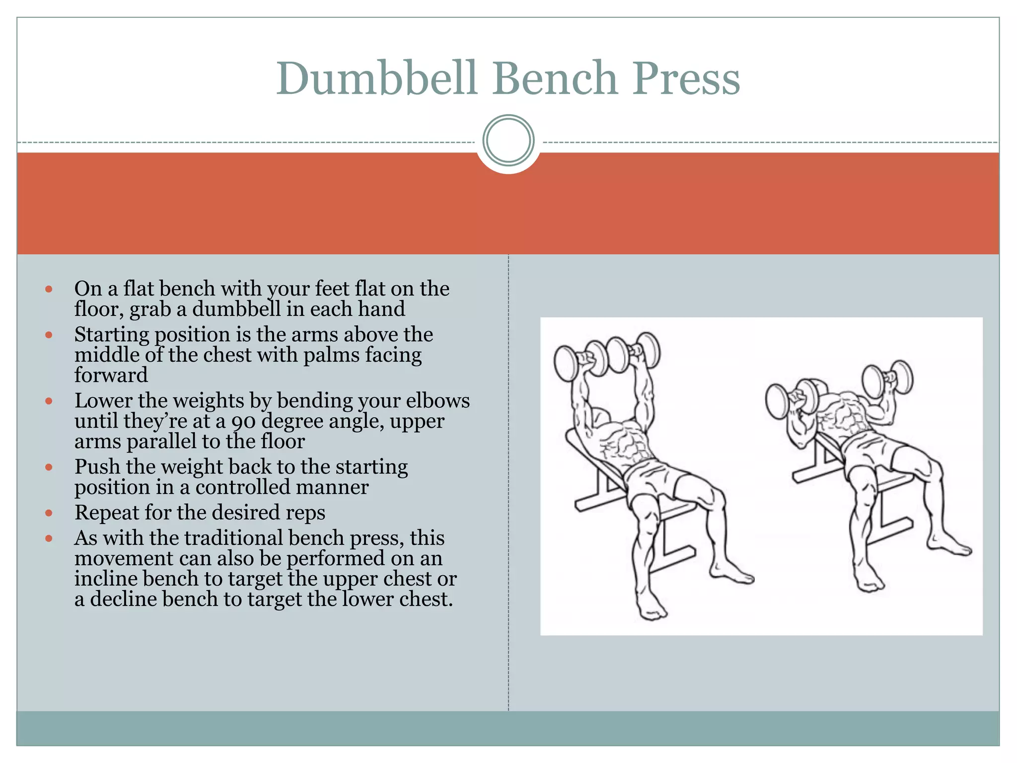  On a flat bench with your feet flat on the
floor, grab a dumbbell in each hand
 Starting position is the arms above the
middle of the chest with palms facing
forward
 Lower the weights by bending your elbows
until they’re at a 90 degree angle, upper
arms parallel to the floor
 Push the weight back to the starting
position in a controlled manner
 Repeat for the desired reps
 As with the traditional bench press, this
movement can also be performed on an
incline bench to target the upper chest or
a decline bench to target the lower chest.
Dumbbell Bench Press
 