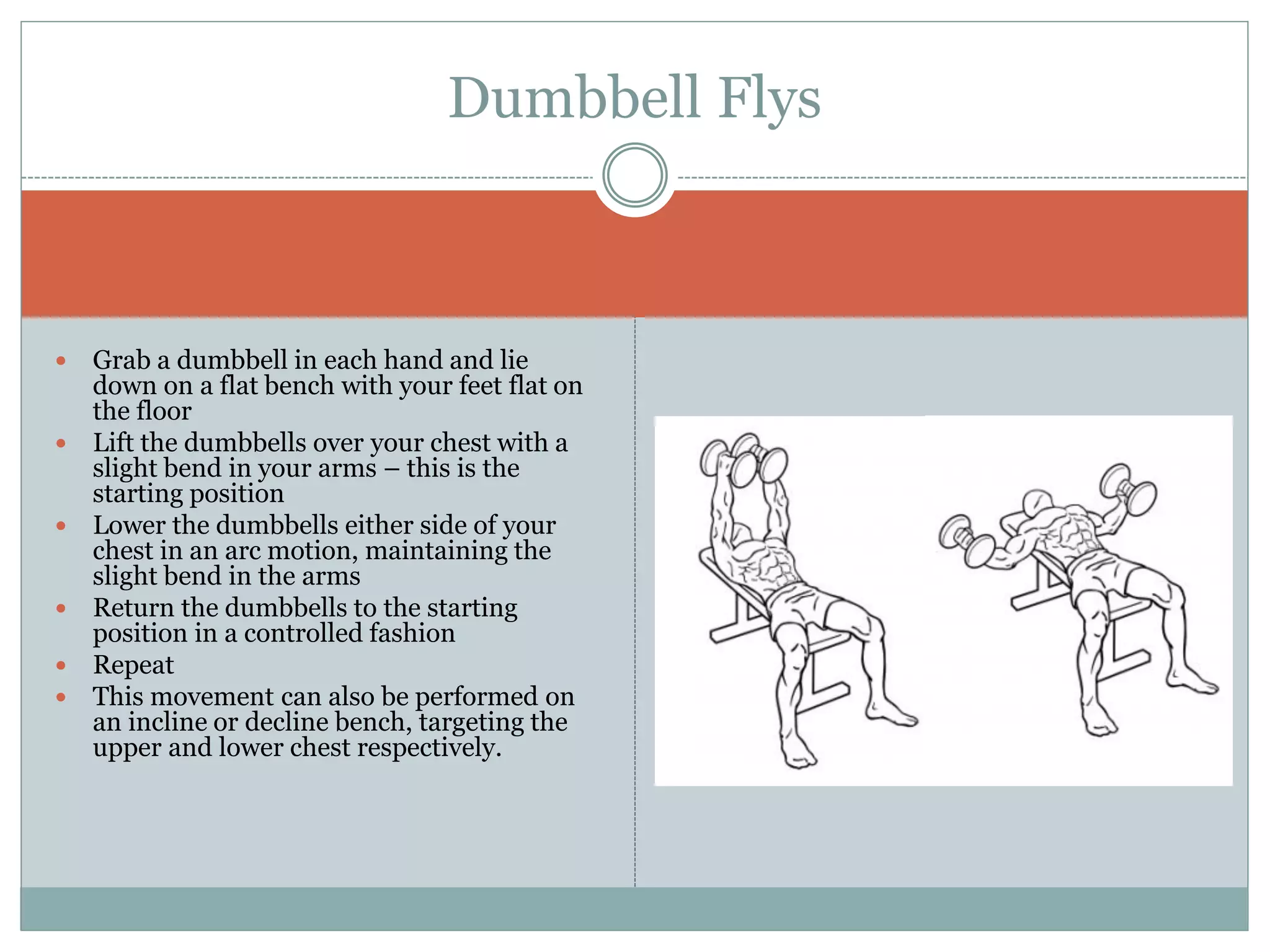  Grab a dumbbell in each hand and lie
down on a flat bench with your feet flat on
the floor
 Lift the dumbbells over your chest with a
slight bend in your arms – this is the
starting position
 Lower the dumbbells either side of your
chest in an arc motion, maintaining the
slight bend in the arms
 Return the dumbbells to the starting
position in a controlled fashion
 Repeat
 This movement can also be performed on
an incline or decline bench, targeting the
upper and lower chest respectively.
Dumbbell Flys
 