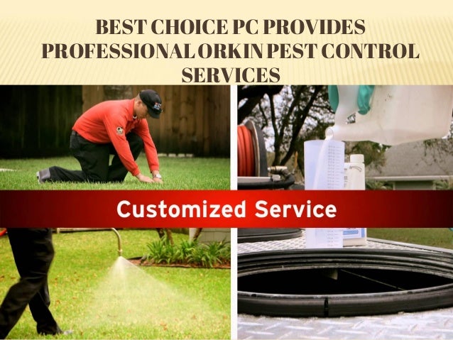 Best choice pc provides professional orkin pest control services