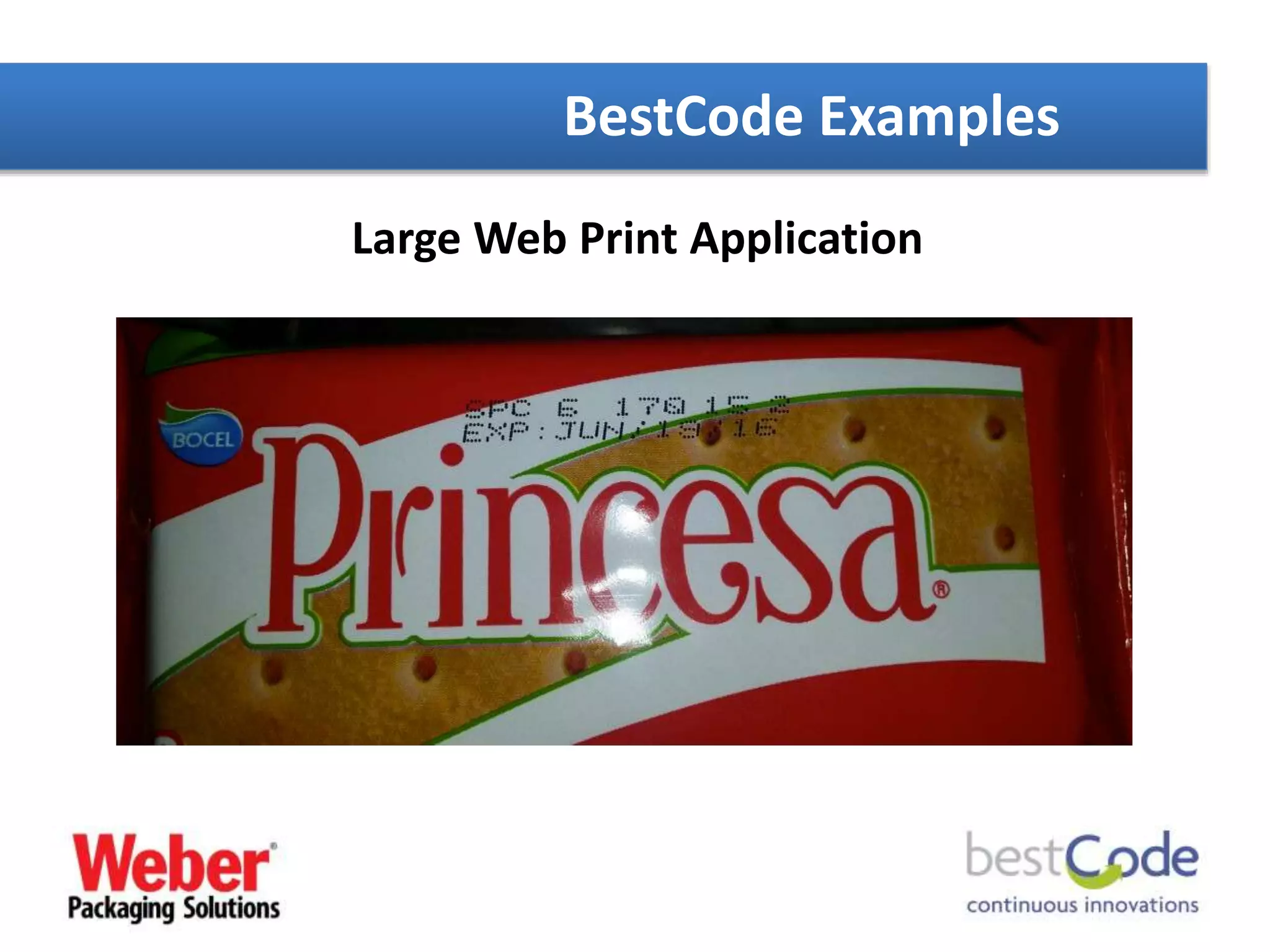 Large Web Print Application
BestCode Examples
 