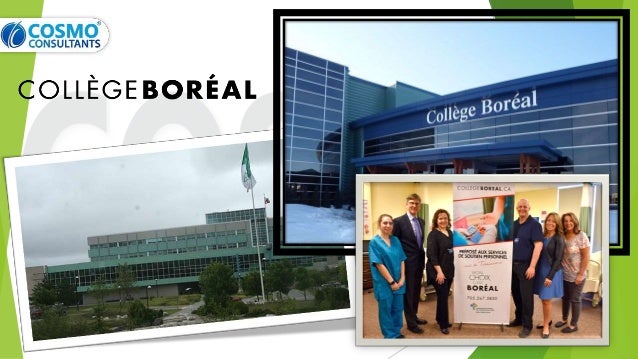 Best Colleges In Ontario For International Students pptx best-colleges-in-ontario-for-international-students-pptx