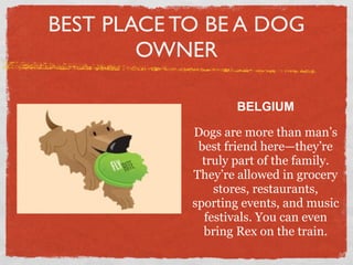 BEST PLACE TO BE A DOG
        OWNER

                    BELGIUM

            Dogs are more than man’s
             best friend here—they’re
              truly part of the family.
            They’re allowed in grocery
                stores, restaurants,
            sporting events, and music
              festivals. You can even
              bring Rex on the train.
 