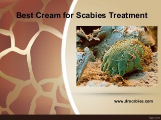Best Cream for Scabies Treatment
www.drscabies.com
 