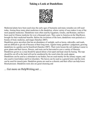 Taking a Look at Dandelions
Medicinal plants have been used since the early ages of humanity and many remedies are still used
today. Among these many plant medicines is the dandelion, whose variety of uses makes it one of the
more popular medicines. Dandelions were often used by Egyptians, Greeks, and Romans, and have
been used in Chinese medicine for over a thousand years. They came to America on the Mayflower,
brought for their medicinal benefits. Before the inventions of the lawn, dandelions were praised as a
bounty of food, medicine, and magic (Sanchez 2007).
Dandelions grow anywhere that has an abundance of sunlight, such as lawns, sidewalks, and roads,
and are difficult to get rid of because of their long roots. Against many gardener s judgement, growing
dandelions in a garden can be beneficial (Sanchez 2007). Their roots loosen the soil making it easier to
grow plants and their leaves, flowers, and roots can be harvested to cure a variety of illnesses.
Dandelions grown as a crop should be spaced about a foot apart and kept clean by hoeing. The tops
should be cut off so the land will not be smothered by the weed when the seeds appear.
Dandelions can be used as a stimulant to our bodies, but are used mainly for the urinary organs, and
also used to treat kidney and liver disorders. The leaves can be used as a general tonic and the roots
can be used for muscle pain. Dandelion greens are used as a diuretic and their effect can help lower
blood pressure. Dandelion roots also are good cleansing and
... Get more on HelpWriting.net ...
 